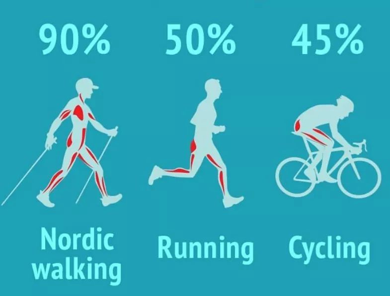 technika nordic walking, posilování celého těla, hubnutí, vybudování kondice