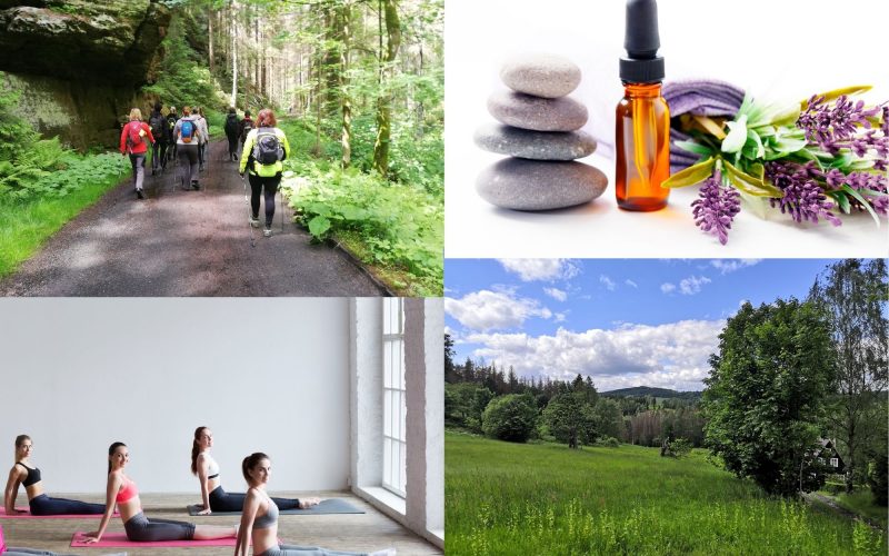 jóga, aromaterapie, Lesní Mysl, Nordic Walking